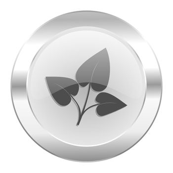 leaf chrome web icon isolated
