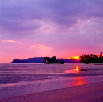 White sand beach with crystal clear sea, Maya island, Krabi, Thailand