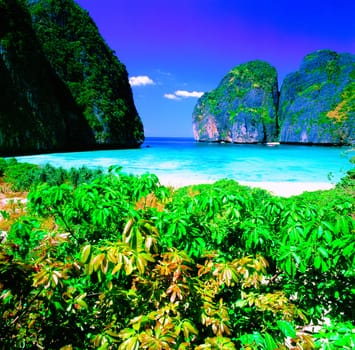 White sand beach with crystal clear sea, Maya island, Krabi, Thailand