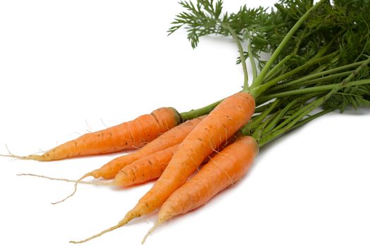Carrots with tops of vegetable isolated on white background