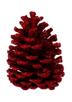 Red fir cone