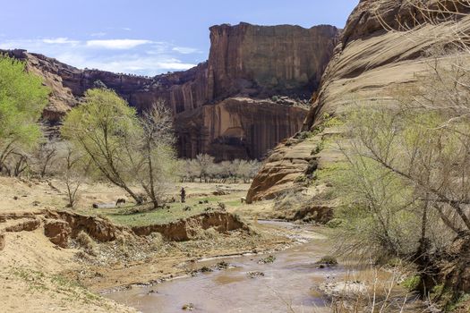 A view of a canyon river with a cowboy tending to his horses and steep red sandstone cliffs in the distance