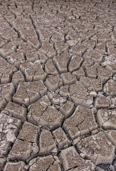 An image of severely dried and cracked earth that could be a dried river or lake bed, or in the desert