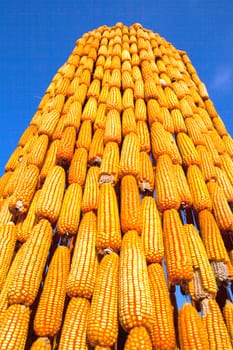 Corn Craft,Outdoor exhibit The blue set here