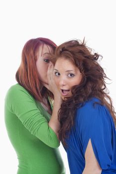 two young women whispering gossip - isolated on white