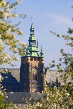 prague, czech republic - st. vitus cathedral at hradcany castle in spring