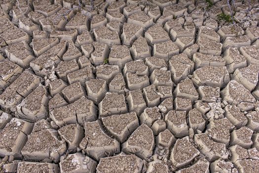 An image of severely dried and cracked earth that could be a dried river or lake bed, or in the desert