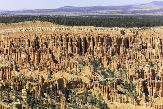 A stunning view down onto red, orange and white hoodoos in Bryce Canyon National Park