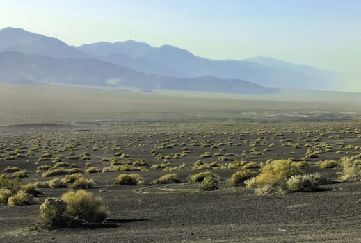 A striking image of Death Valley desert landscape with black sand, gold colored shrubs and hazy mountains in the distance