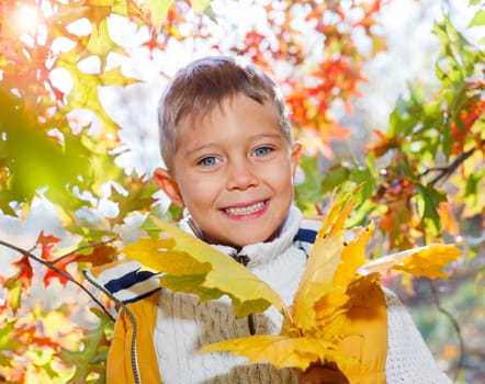 Portrait of Adorable cute girl with autumn leaves in the beauty park