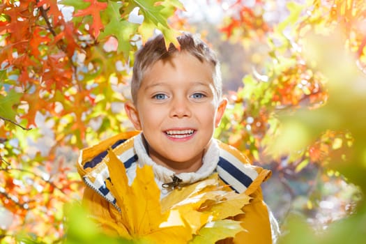 Portrait of Adorable cute girl with autumn leaves in the beauty park