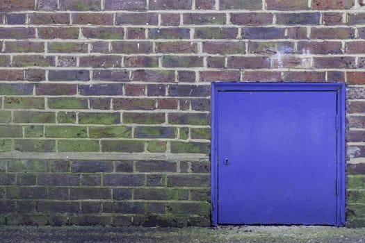 A colorful brick wall with a small blue closed door on the right hand side