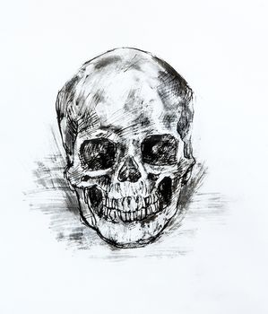 Drawing black and white of  human skull on paper