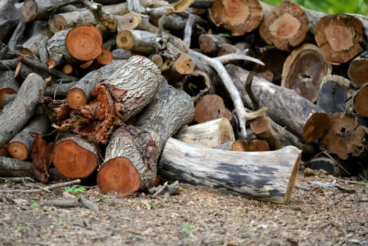 dry chopped firewood logs in a pile