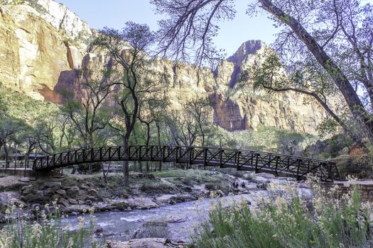 A beautiful arced wooden bridge over a river in Zion National Park with high golden cliffs behind