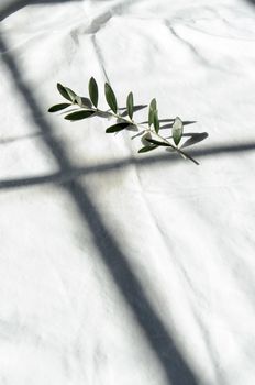 Christian religious atmosphere with olive branch and a crown of thorns.







Olive branch