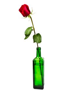 Lonely red rose in a green bottle on white background
