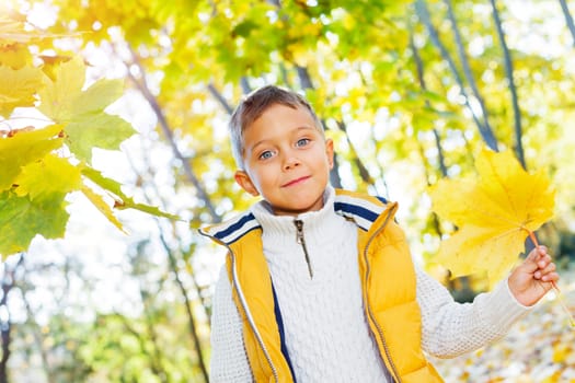 Portrait of Adorable cute girl with autumn leaves in the beauty park