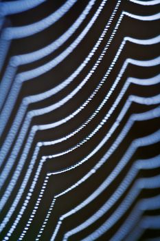 extreme closeup of spiderweb with dew waterdrops - shallow depth of field