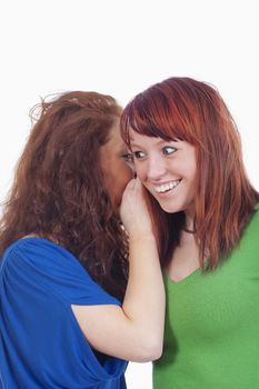 two young women whispering gossip - isolated on white