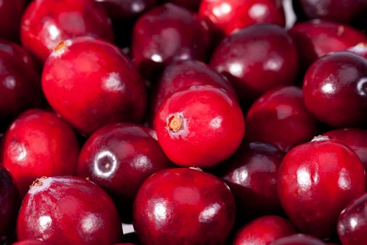 background of red fresh raw fruits of cranberries macro