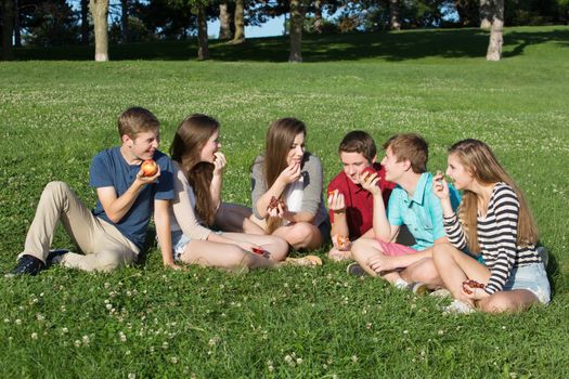 Group of six happy teenagers eating healthy snacks