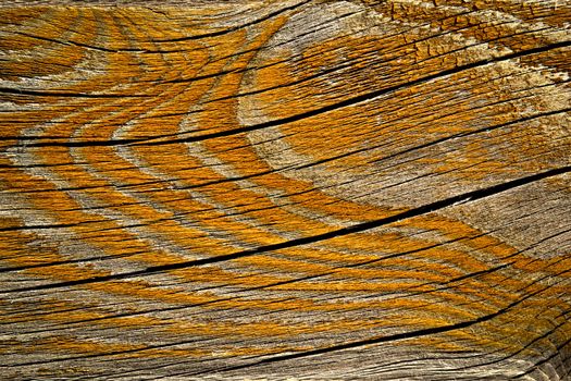 abstract background or texture orange painted rift wood