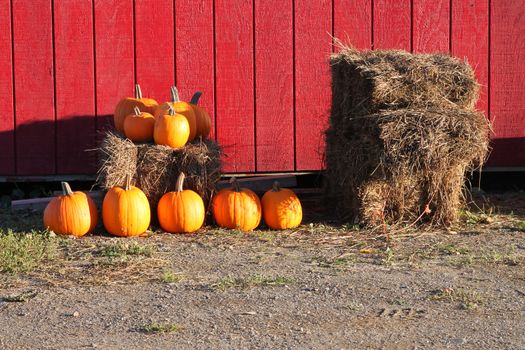 Colorful orange pumpkins on hay bales with red wooden background and, an autumn scene