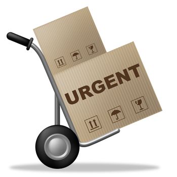 Urgent Package Meaning Shipping Box And Instant