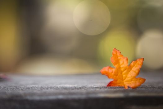 colorful leaves, autumn on wood with background 