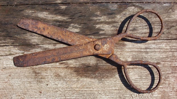 Old rusty scissors on wooden background