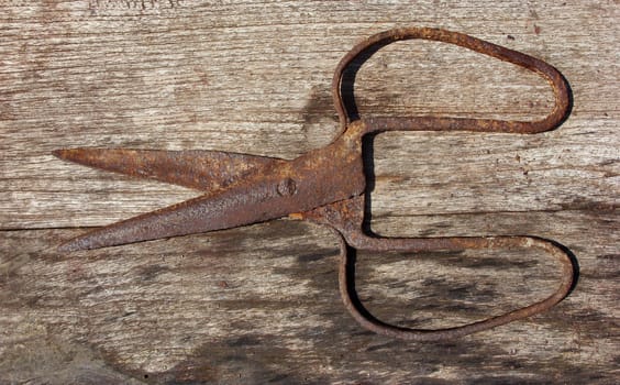 Old rusty scissors on wooden background