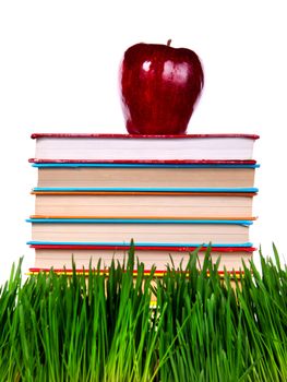 Pile of the Books on the Fresh Grass on the White Background Closeup