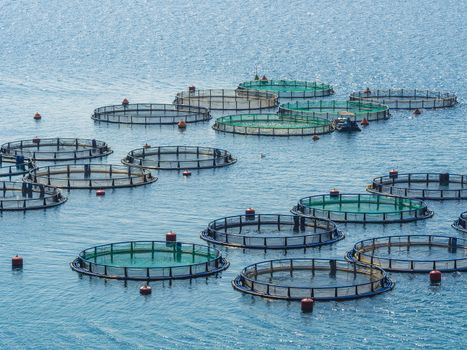 Fish farming off the coast of Greece