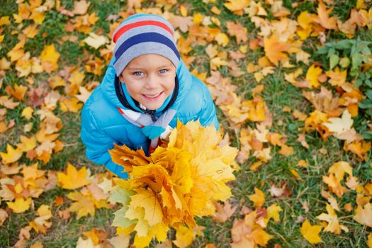 Adorable cute boy with autumn leaves in the beautiful park