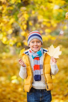 Portrait of Adorable cute boy with autumn leaves in the beautiful park