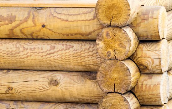 Part of wall of house from wooden round logs.
