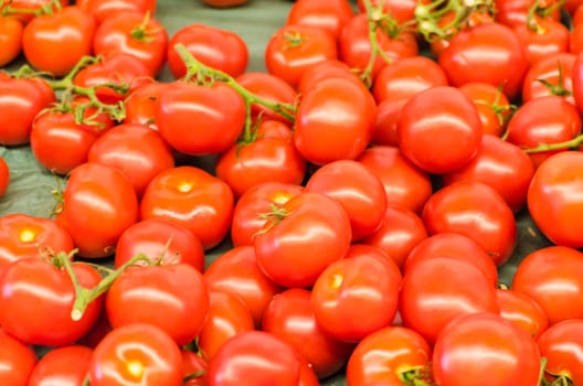 Various tomatoes for sale at a farmers market
