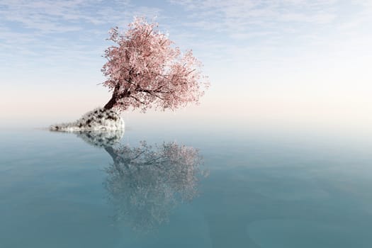 A lonely tree with reflection in the water