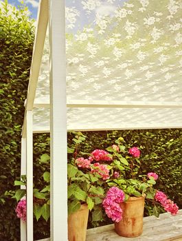 Sunny summer veranda with blooming gardenias.