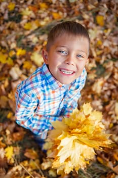 Portrait of Adorable cute boy with autumn leaves in the beautiful park