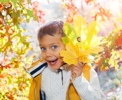 Portrait of Adorable cute boy with autumn leaves in the beauty park