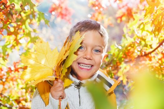 Portrait of Adorable cute boy with autumn leaves in the beauty park