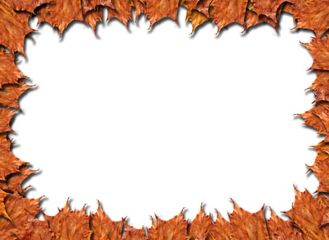 Frame from the yellow leaves on the white background