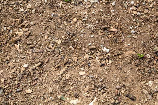 Soil and stones in Germany.