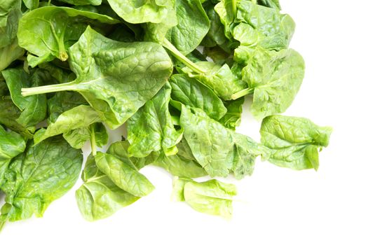 Fresh spinach leaves isolated on white.