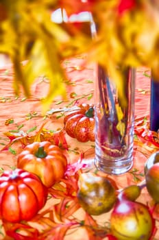 autumn harvest with pumpkins on table