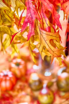 autumn harvest with pumpkins on table