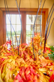 autumn harvest with pumpkins on table