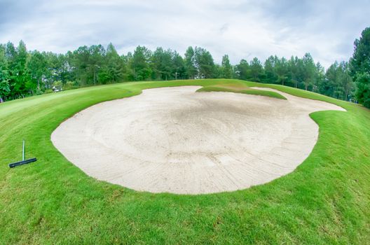 green grass of the golf course surrounded by autumnal forest